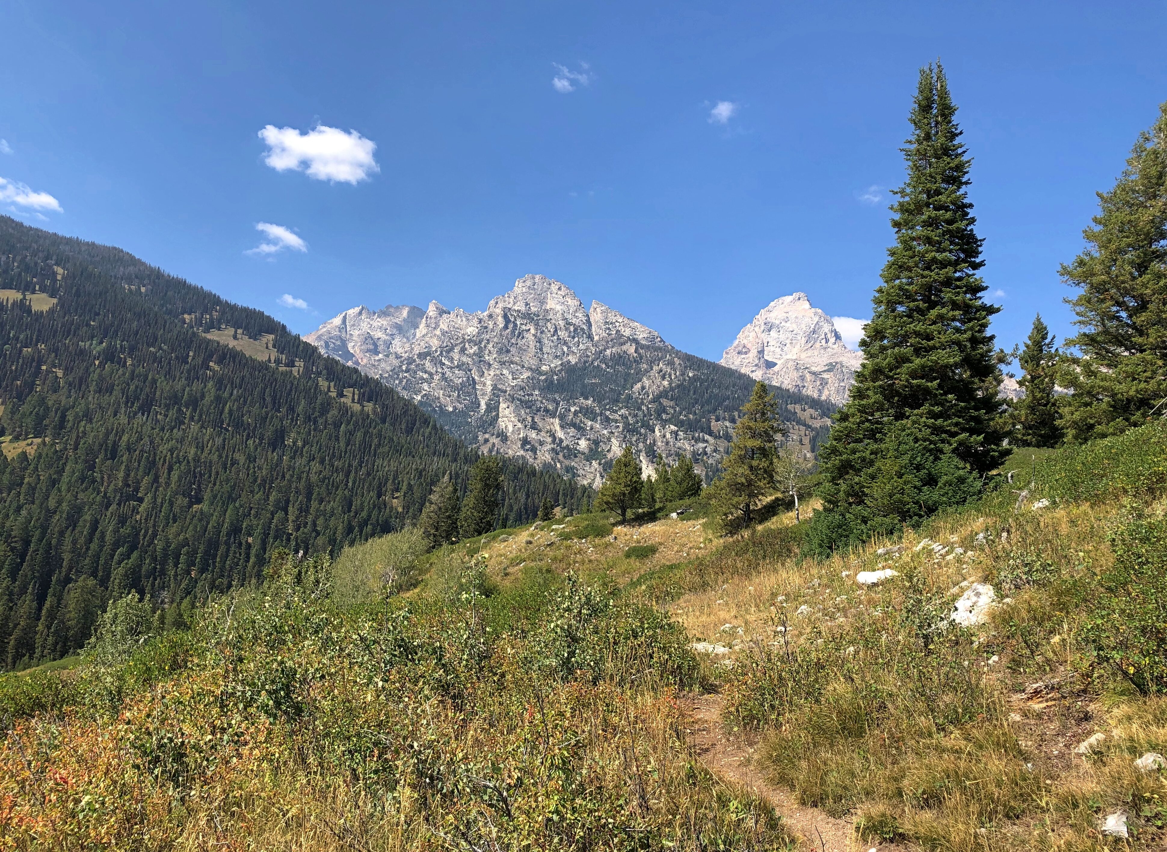 Grand Teton National Park