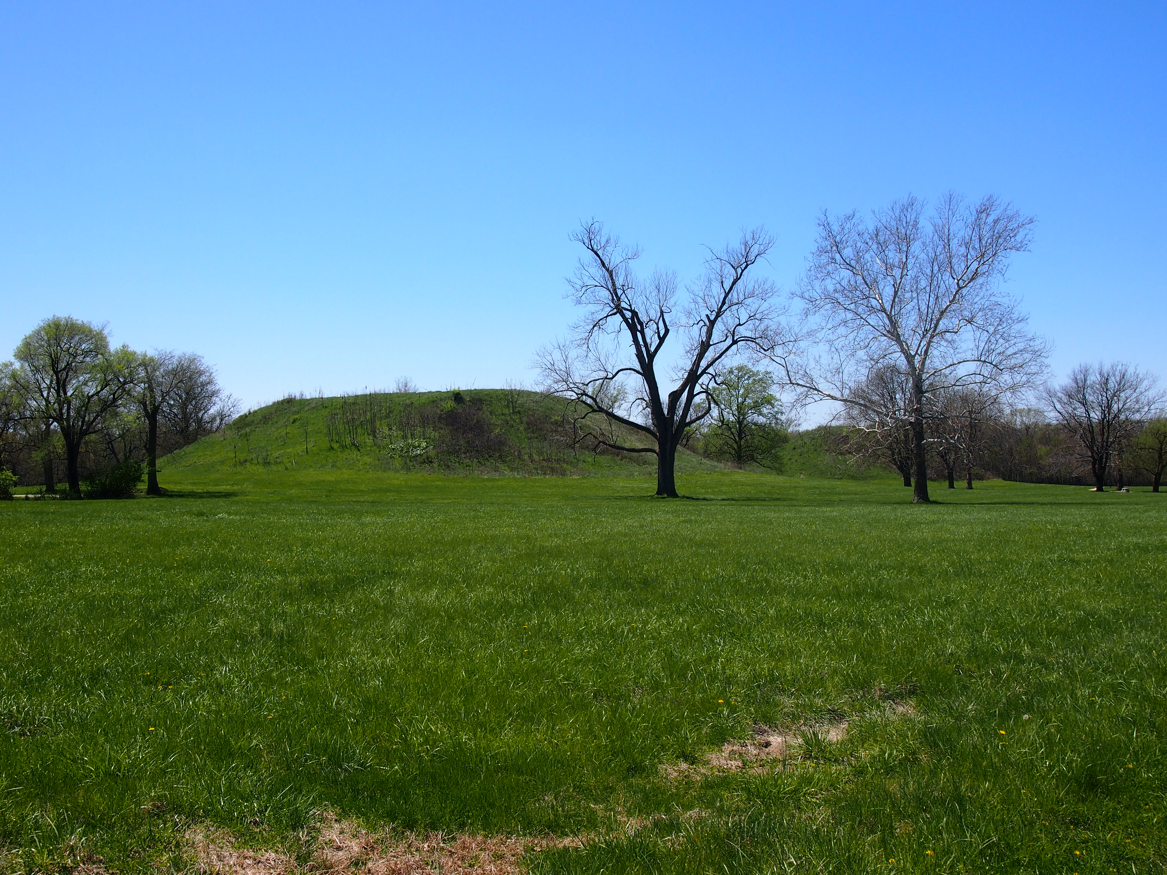 Cahokia Mounds State Historic Site | Been There, Seen That